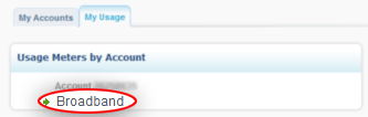 CustomerZone_Usage Broadband
